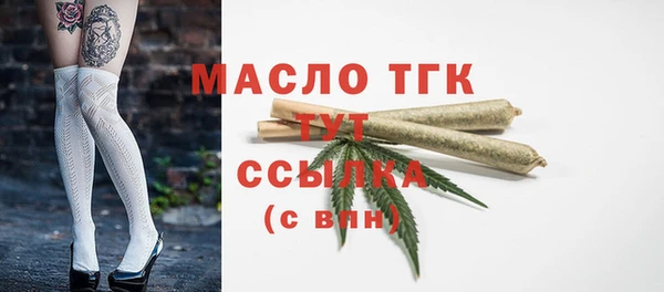 гидра Кулебаки
