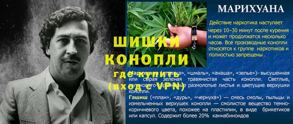 гидра Кулебаки