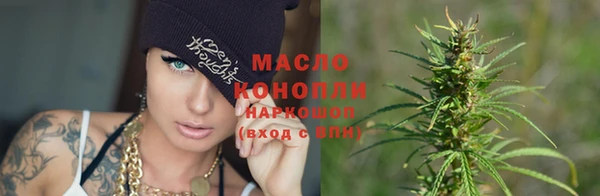 гидра Кулебаки