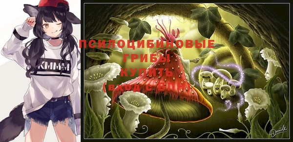гидра Кулебаки