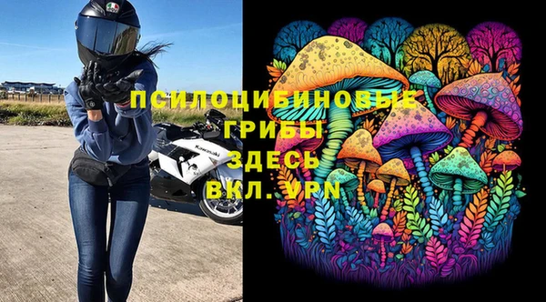 гидра Кулебаки