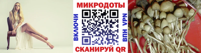 где купить наркотик  Правдинск  Галлюциногенные грибы Psilocybe 